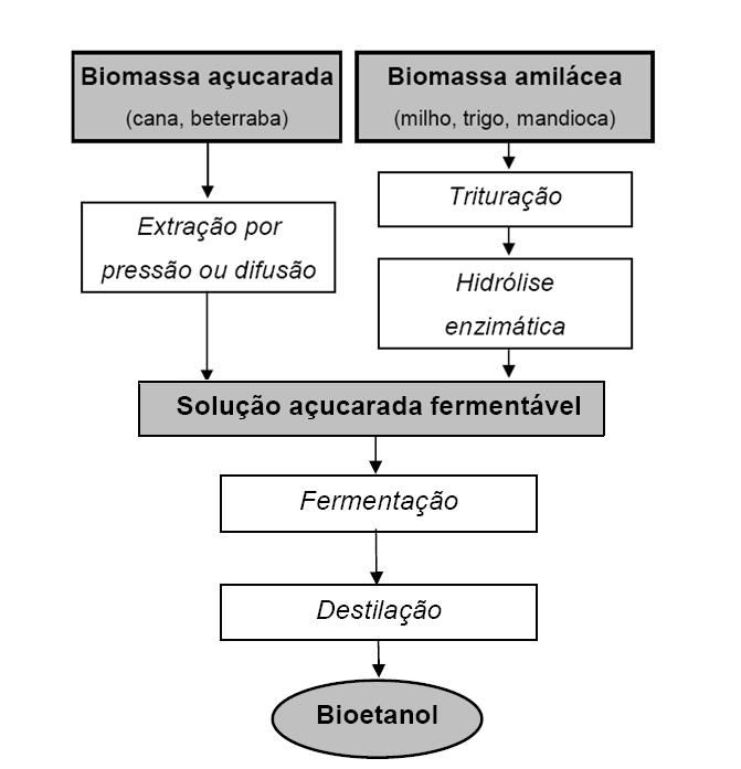 20 Figura 5 - Rotas tecnológicas para produção de bioetanol No Brasil, o aproveitamento da mandioca para obtenção de álcool foi pesquisado inicialmente no período de 1932-1945.