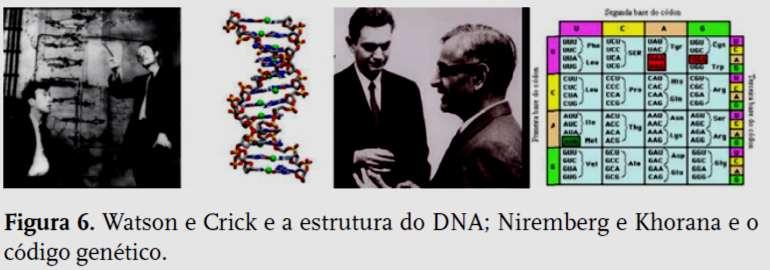 Biotecnologia: evolução histórica Esse entendimento foi concluído com a decifração do código genético por Har Gobing Khorana e Marshall Niremberg em 1967.