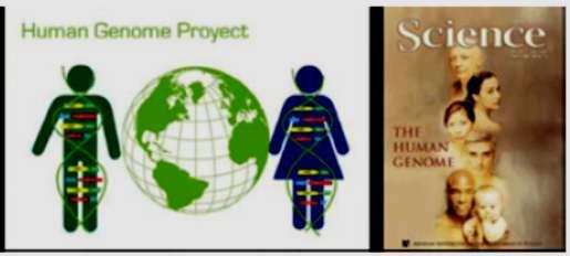 Biotecnologia: evolução histórica Outro acontecimento marcante foi o anúncio do projeto genoma humano, em 1990, que tinha como objetivo conhecer a sequência completa dos nucleotídeos que o compõem.