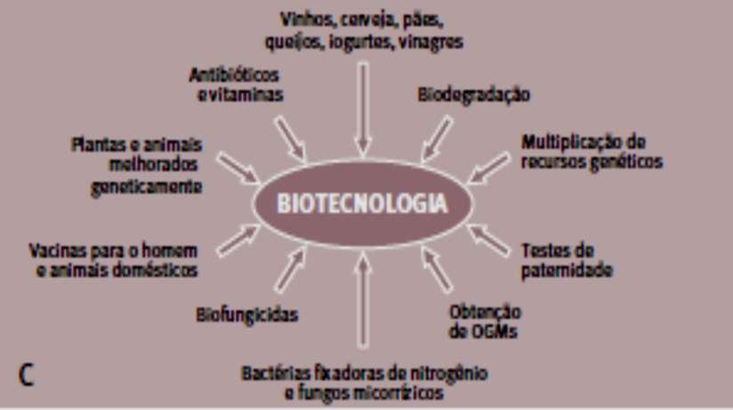 Principais produtos