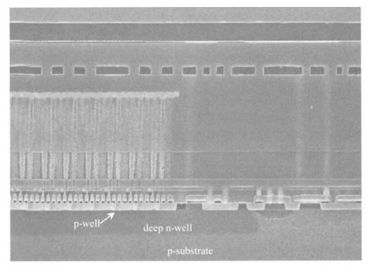 SEM microscopia de varredura