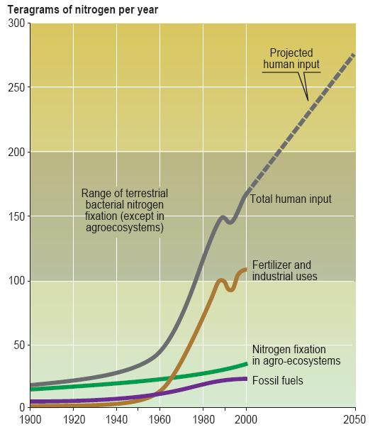 Mudanças sem Precedentes: Ciclos Biogeoquímicos A partir de 1960: Os fluxos de nitrogênio biologicamente disponível nos ecossistemas terrestres duplicaram Os fluxos de fósforo triplicaram > 50% dos