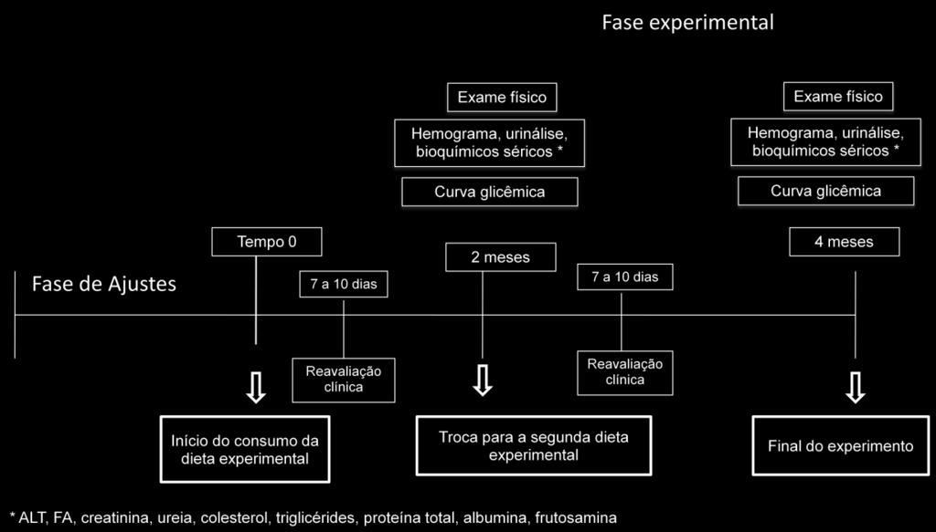 29 Figura 1: Esquema ilustrativo do delineamento experimental do estudo. 4.