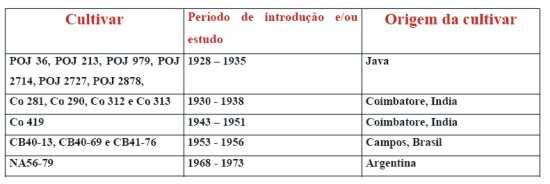 mosaico da cana foi responsável pelo estabelecimento dos primeiro programas de melhoramento genético no Brasil, dentre esses, o do Instituto Agronômico de Campinas que se iniciou em 1933, e é o mais