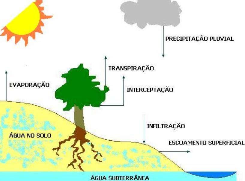 CICLO