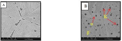 γ 2 β Figura 9 Microestruturas das ligas Cu-12,3Al (A) e Cu-