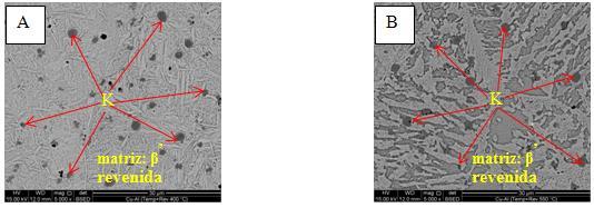 5000 x ATAQUE: Cloreto Férrico Figura 11 - Microestruturas da liga Cu-