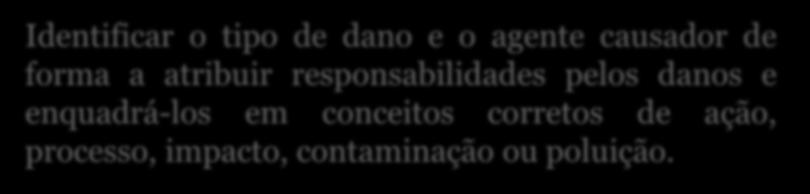 Critérios de Avaliação O primeiro passo Identificar o tipo de dano e o agente causador de forma a atribuir
