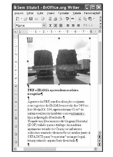 5) CESPE - PRF/PRF/2008 A figura a seguir ilustra uma janela do aplicativo BrOffice.org Writer 2.