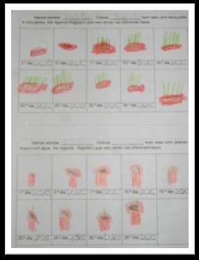 Tabelas de registo No primeiro quadro, na parte superior, as crianças registavam nos dias combinados, através de desenho, a evolução da