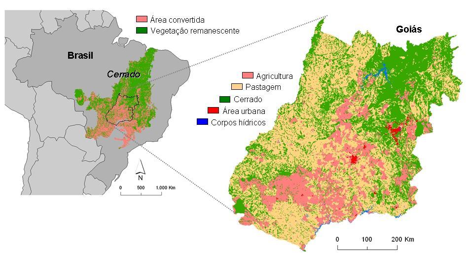 Fig. 1 - Localização e distribuição das classes de cobertura e uso da terra para o bioma Cerrado e Estado de Goiás, conforme os levantamentos realizados no âmbito das iniciativas PROBIO e PDIAP,