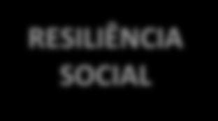 Expansão conceitual resiliência social RESULTADOS EFICIÊNCIA EFICÁCIA EFETIVIDADE SATISFAÇÃO SUPORTAR/ SUPERAR CRISES INSUMOS