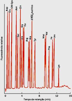 fluorescência Determinação da composição de aminoácidos de uma proteína A proteína pura é tratada com HCl 6N fervente para quebrar (hidrólise) as ligações peptídicas.