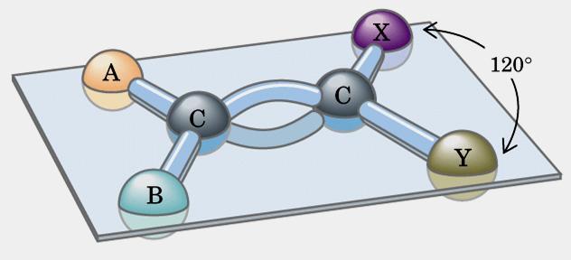 A dupla ligação entre os C confere maior proximidade entre os átomos (0,134nm) A geometria entre os C é