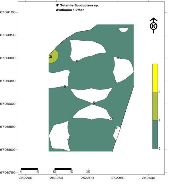 Figura 1: Mapas da distribuição espacial da densidade total de Spodoptera spp.
