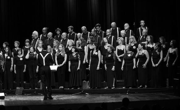 camerata vocal de torres vedras Nasceu em 1982, na cidade de Torres Vedras, e tornou-se Associação Cultural em 1985.