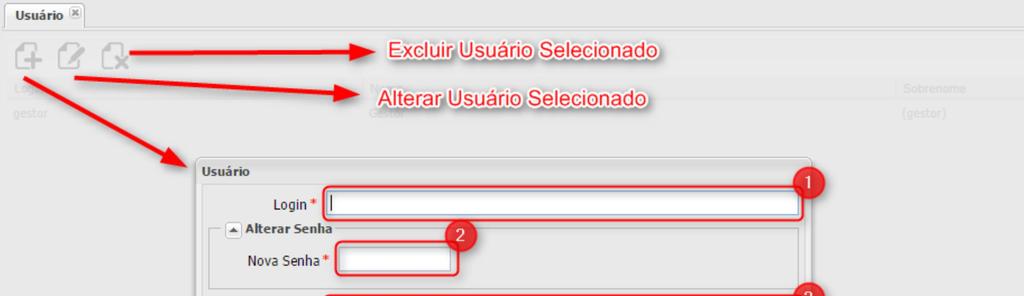 4. Configuração de Usuário Opção 1 da Figura 3 Pressionando o botão Usuário a aba deve apresentar todos os usuários cadastrados.