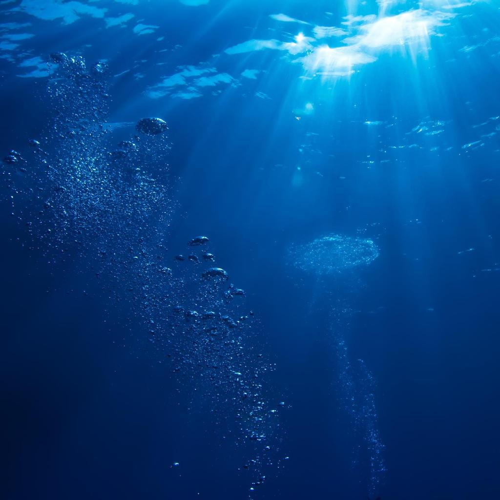 Oceanos primitivos protegiam as formas vivas da radiação ultravioleta, antes da formação da camada de ozono.