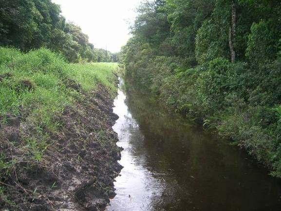 De forma análoga à formação da planície costeira de Itapoá (SOUZA et al.