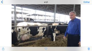 ENG. AGRO. ZOOTECNISTA VILSON COHEN, NO KIBUSTS LEVI EM ISRAEL, FAZENDO UM PARELELO TECNOLÓGICO.