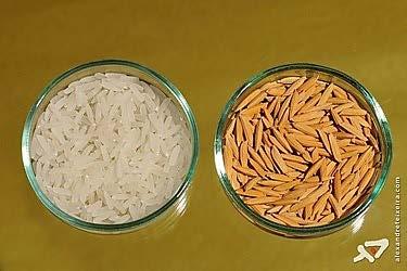 Arroz Características de diferentes variedades Puitá Inta CL Guri Inta