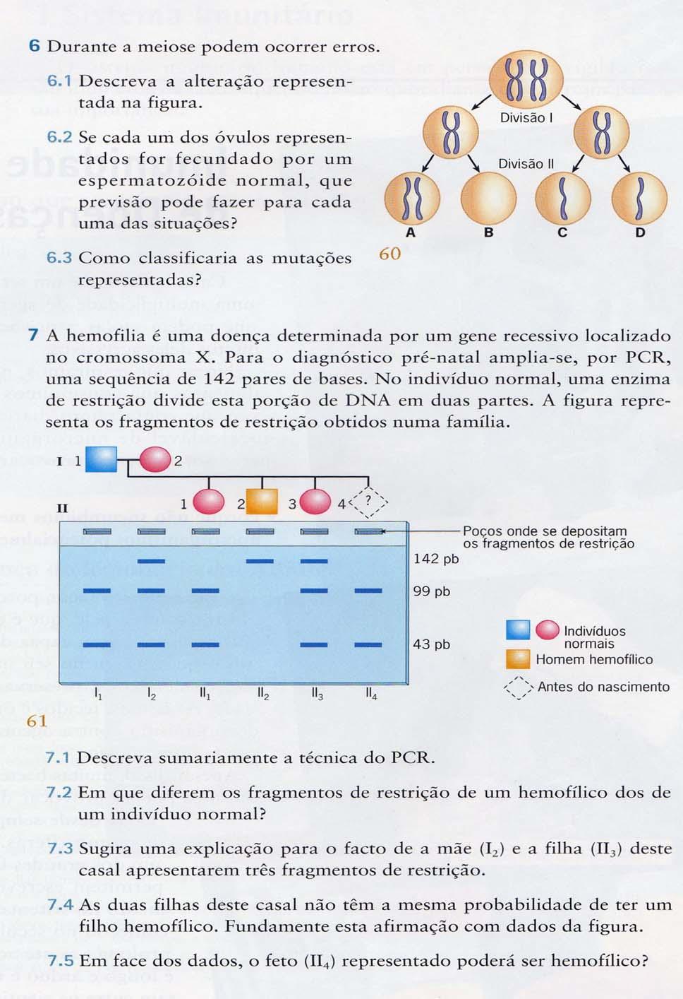 EXERCÍCIOS DE REVISÃO 08/02/07 Escola