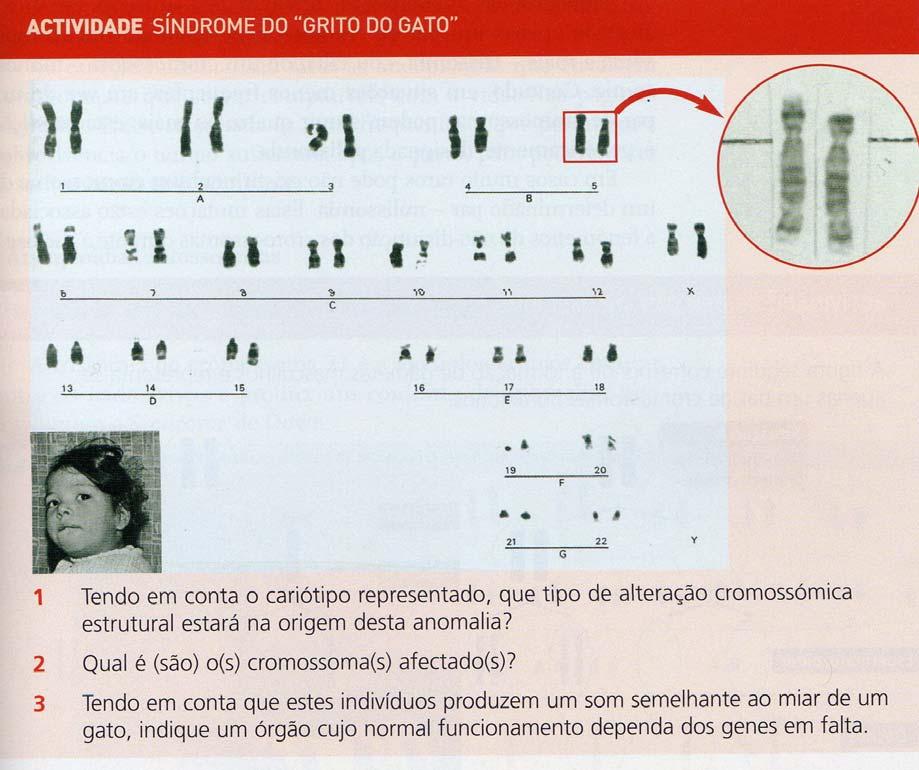 Mutações cromossómicas estruturais 1.