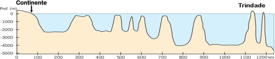 47 Figura 20: Perfil batimétrico mostrando as elevações vulcânicas geradas pela passagem da crosta oceânica sobre o hotspot de Trindade (Modificado de Almeida, 2006) 3.