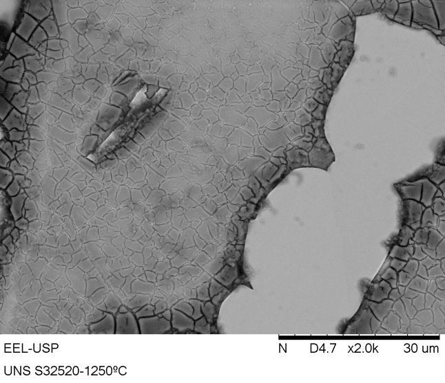 ferrita dentro das amostras. A Figura 21 mostra as micrografias das amostras solubilizadas nas temperaturas 1.050ºC, 1.150ºC e 1.