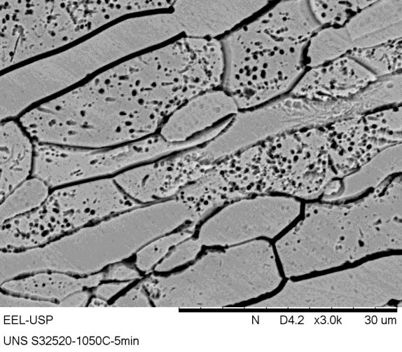 Solubilizado 1250ºC Solubilizado