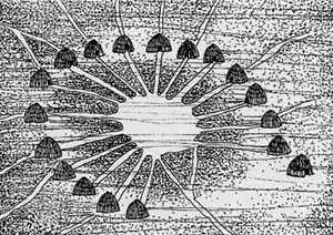 rca de 8000 a.c., no Neolítico (Barbárie), caracterizandose pelo surgimento