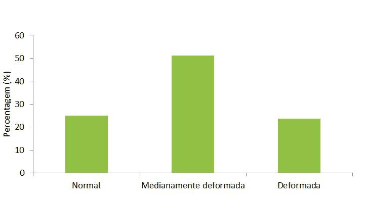 160 Diversidade florística do bairro Nossa Senhora das Dores em Santa Maria, rs Figura 3.