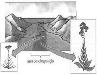 sobreposição (Figura C), como poderia ser evidenciado que realmente houve especiação? Explique.