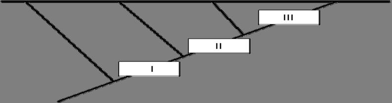 14. O esquema abaixo representa o mais recente sistema de classificação do Reino Plantae.