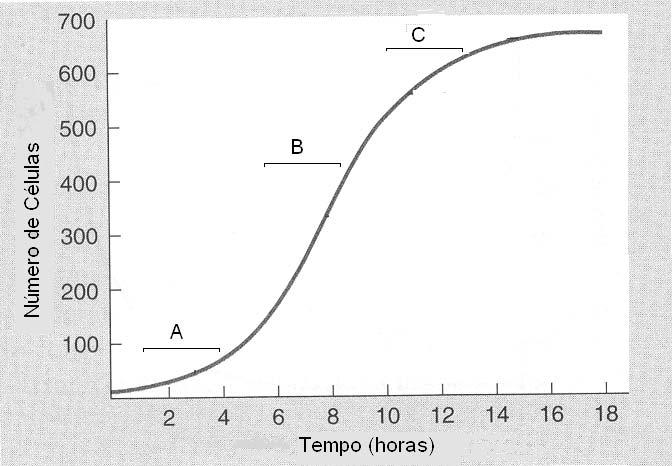 15. O gráfico abaixo mostra o crescimento da população de uma determinada bactéria in vitro. a) Compare as tendências de crescimento populacional nos períodos A e C.