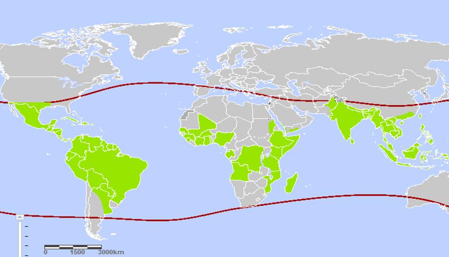 CAPÍTULO 3. O PROBLEMA 47 Figura 3.1: Países ou áreas de risco da Dengue - 2012 Fonte: http://apps.who.int/ithmap/ Dengue tem emergido como um problema mundial desde 1950.