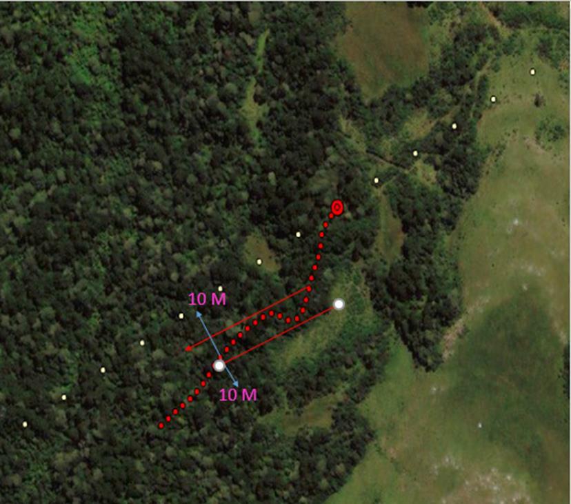 16 Figura 4: Modelo de amostragem nas parcelas, com a direção e a distância percorrida pelos pesquisadores na parcela. 2.4. Análise de dados Para testar o efeito da variação de altitude sobre a riqueza e abundância de anfíbios nas parcelas utilizamos o teste de correlação de Spearman (dados não normais).