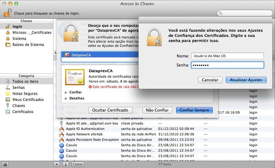 - Digite a senha de usuário do Mac OS X Lion definida pelo usuário e clique em Atualizar Ajustes, o