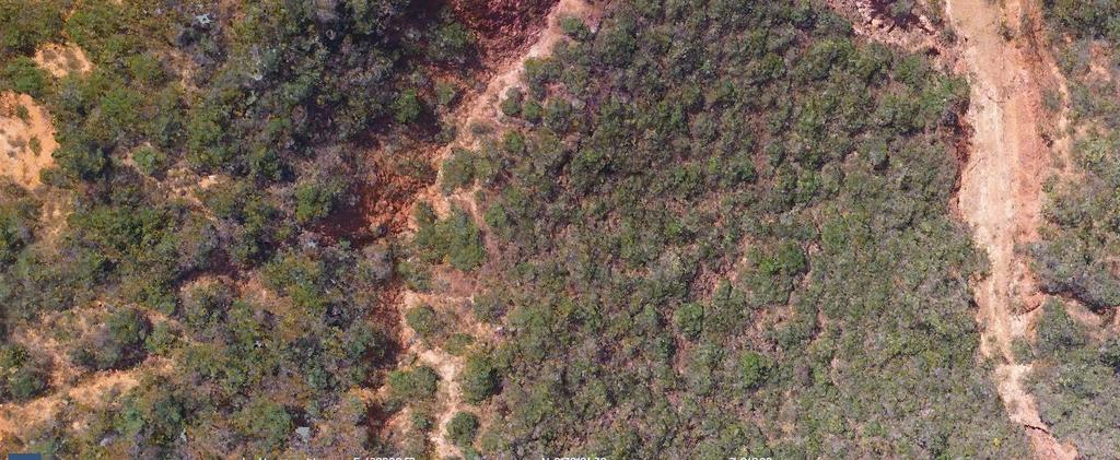 Monitoramento de Floresta Inventário aéreo florestal