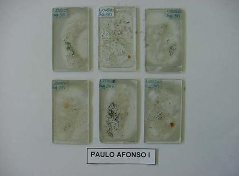 Capítulo 3 Estudo de casos 78 Figura 3.18 Lâmina petrográfica preparada para análise no microscópio (FURNAS, 2001a).