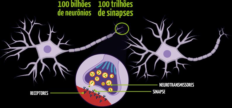 Redes Neurais - Definição O que é Rede Neural ou Rede Neuronal Artificial (RNA)?