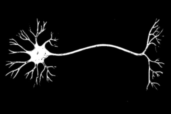 Neurônio biológico Vs.