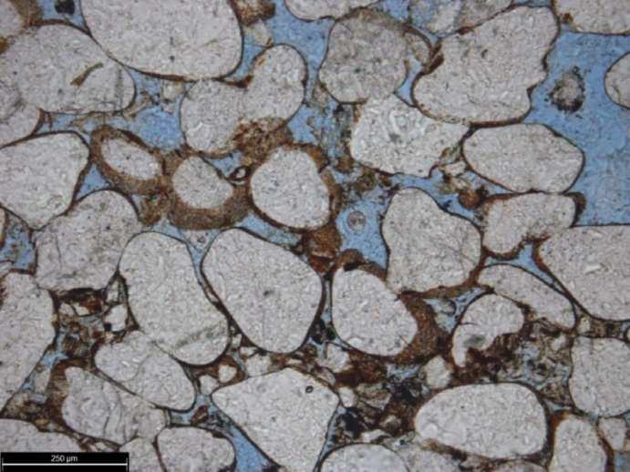 A textura de constituintes diagenéticas indicam que os grãos são cobertos com cutículas de hematita, como pode ser observado na Figura 73.