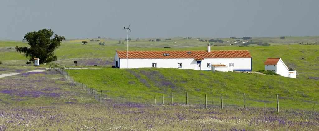 CENTRO DE EDUCAÇÃO AMBIENTAL DO VALE