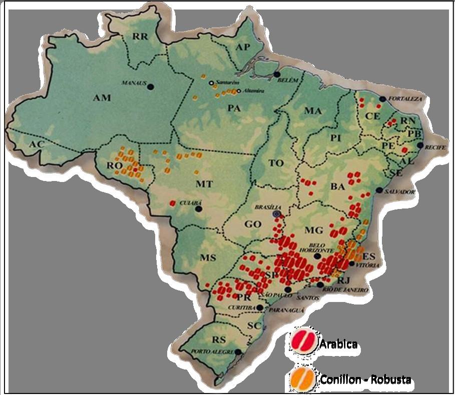 milhões de hectares 5 bilhões de plantas café MG é