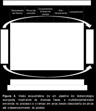 Impactos: aumento de produtividade, variedades taylor-made; resistência à pragas e estresses abióticos.