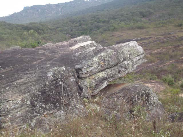 A linguagem da solidariedade não é terra virgem, mas parcialmente ocupada, loteada, colonizada, com cultivo diferenciado, mas