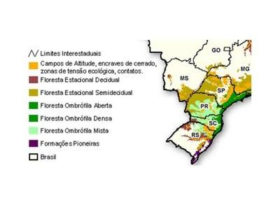 Floresta de A vegetação predominante é de Gimnospermas