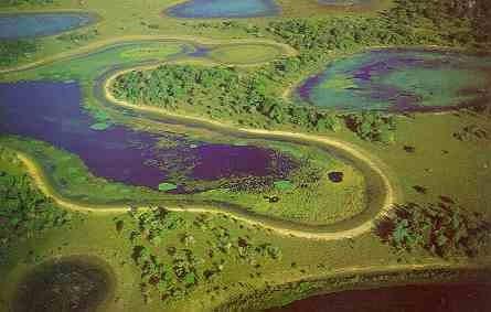 Pantanal - O clima é