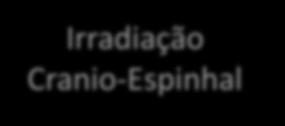 Int J Radiat Oncol Biol Phys 1997; 39: 419 26.